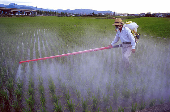 Pesticides and fertilizers sprayed far from the coast still find their way to the ocean, running off farmlands into rivers, streams, and groundwater.